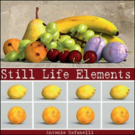 Still Life Elements,  Di Antonio Rafanelli,  2015,  Youcanprint  -  ER - Kunst, Architectuur