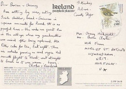Ireland & Marcofilia, Express Delivery, Norfolk  United Kingdom  (288854) - Lettres & Documents