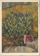 57036 - BELGIUM - POSTAL HISTORY: MAXIMUM CARD 1951 - FLOWERS - 1934-1951