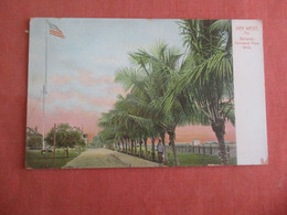 Tuck Series  Barracks Cocoanut Palm Walk  Key West   Florida        Ref 5222 - Key West & The Keys
