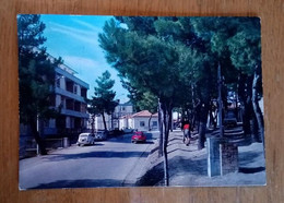 PESCARA - Penne - Pineta Con Monumento Ai Caduti E Scorcio Panoramico - Auto Fiat 500 - Pescara