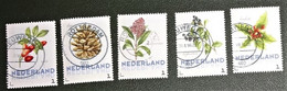 Nederland - NVPH - Uit 3012-Ac-7 - 2014 - Persoonlijke Gebruikt - Brinkman - Bloemen Winter - Timbres Personnalisés