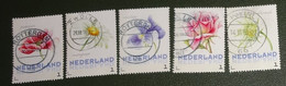 Nederland - NVPH - Uit 3012-Ac-3 - 2014 - Persoonlijke Gebruikt - Brinkman - Bloemen Zomer - Timbres Personnalisés