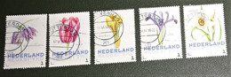 Nederland - NVPH - Uit 3012-Ac-1 - 2014 - Persoonlijke Gebruikt - Brinkman - Bloemen Voorjaar - Persoonlijke Postzegels