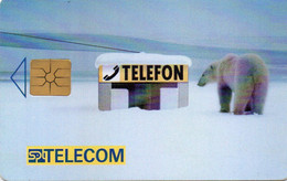 CZECH - CHIP CARD - POLAR BEAR - Czech Republic