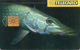 CZECH - CHIP CARD - FISH - Czech Republic
