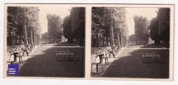 Parc De Vichy / 03 Allier Photo Stéréoscopique 1940s 12,8x5,8cm Jardin Public Au Fond Casino A59-42 - Stereoscopio