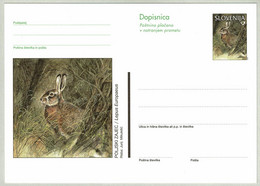 Delcampe - Slowenien / Slovenija 1999, Ganzsachen-Karte Poljski Zajec / Lepus Europaeus / Feldhase - Hasen