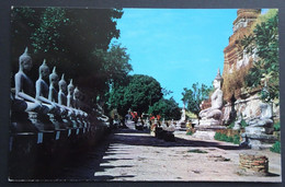 Thailand - The Remaining Budha-Images In The Compound Of Wat Yai Chai-Mongkol In Ayudhaya-Province Thailand - Buddhismus