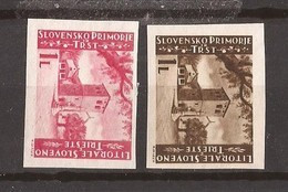 1945  IV-V    JUGOSLAVIA TRIESTE B ITALIA SLOVENIA LITORALE ISTRIA DENT- IMPERF  MNH - Sonstige & Ohne Zuordnung