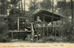 Landes * Les Chasseurs De Palombes à L'affut * Palombière * Chasse - Other & Unclassified