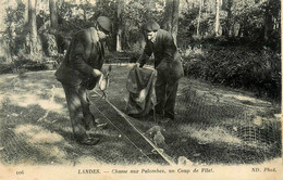 Landes * Chasse Aux Palombes * Un Coup De Filet * Palombière * Chasseurs - Sonstige & Ohne Zuordnung