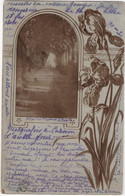 Carte Photo Montage Art Nouveau Iris 34 Allée Des Platanes Le Bosquet CARNON - Autres & Non Classés