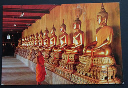 Images Of Budhist Phra From Many Places Of Thailand Can Be Seen At Wat Pho, Bangkok, Thailand - Buddhism