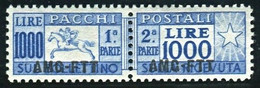 TRIESTE A 1954 PACCHI POSTALI 1000 LIRE CAVALLINO ** MNH - Paketmarken/Konzessionen
