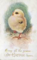 EASTER -  SING ALL THE PRAISE WITH CHICK Easter17 - Pâques