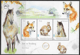 Postset Duin En Kruidberg - Duingebied Noord-Holland - Vos, Konijn, Konikpaard *) - Personalisierte Briefmarken