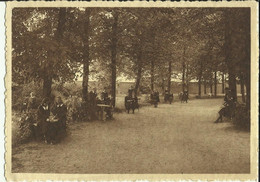 Héverlé -- Institut Du Sacré-Coeur - Une Vue Du Parc.   (2 Scans) - Oud-Heverlee