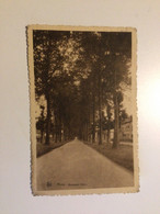 Carte Postale Ancienne  Mons Boulevard Dolez - Mons