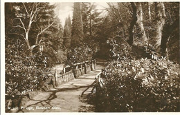 REAL PHOTOGRAPHIC POSTCARD - RUSTIC BRIDGE - ROUKEN GLEN - WITH GOOD THORNLIEBANK POSTMARK - Renfrewshire