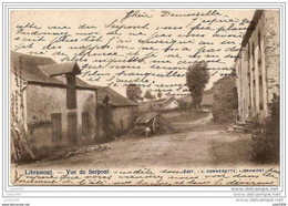 LIBRAMONT ..-- Vue Du SERPONT . 1903 Vers IXELLES ( Melle Madeleine BERGER ) . Voir Verso . - Libramont-Chevigny