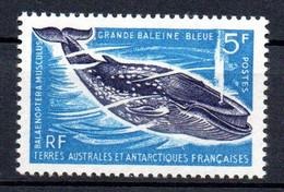 Col24 Taaf Terres Australes N° 22 Neuf XX MNH  Cote 31,00 Euro - Unused Stamps