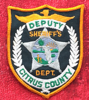 Blason Écusson En Tissu Brodé Deputy Sheriffs Département Citrus County Sheriff Badge Patch-Militaria - Police & Gendarmerie