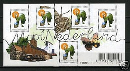 Nederland NVPH 2569 Vel Mooi Nederland Amersfoort 2008 MNH Postfris - Altri & Non Classificati