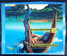 ONU Bureau De GENEVE                        BF 10                     1° JOUR              JUIN 1998 - Used Stamps