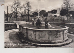 FOLIGNO  PARCO DEI  CANAPE'  VG  1955 - Foligno