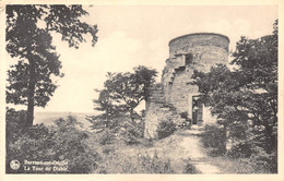 BARVAUX-sur-OURTHE - La Tour Du Diable. - Durbuy