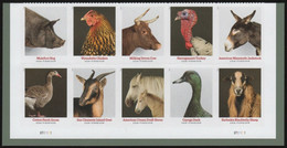 USA 2021 MiNr. 5816 - 5825 10 Heritage Breeds Birds Mammals Farm Pets 10v MNH** 13,00 € - Ongebruikt