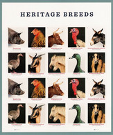 USA 2021 MiNr. 5816 - 5825 10 Heritage Breeds Birds Mammals Farm Pets 20v MNH** 26,00 € - Ongebruikt