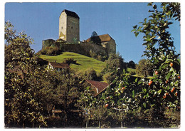 Schloss Sargans - Sargans