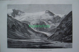 D101 154 Moserboden Gletscher Großglockner Riesenbild 40x27 Cm Druck 1899!! - Other & Unclassified