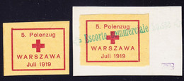 1919 5. Polenzug Warszawa. Vignette Mit Originalgummi Und Gestempelte Vignette Auf AK Stück - Labels