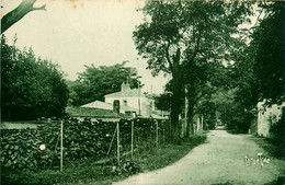 Noirmoutier * Le Bois De La Chaise Vers Les Sorbets * Chemin * Villa - Noirmoutier