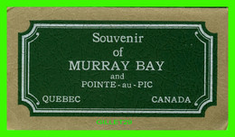 MURRAY BAY, QUÉBEC - SOUVENIR OF MURRAY BAY AND POINTE-AU-PIC - 10 CARDS - PHOTOGELATINE - DIMENSION 9.5 X 17.5 Cm - - Gaspé