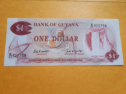 GUYANA 1 DOLLAR 1989 UNC P-21f - Guyana
