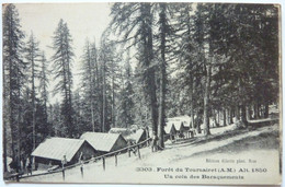 UN COIN DES BARAQUEMENTS - FORÊT DU TOURNAIRET - Lantosque