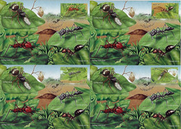 Brazil 2013 Complete Series With 4 official Maximum Card Fauna Animal Insect Ant - Andere