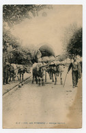 Les Pyrénées.attelage Béarnais. écrite De Guindalos En 1924 - Bearn