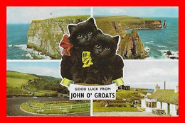 CPSM/pf JOHN O' GROATS (Ecosse) Good Luck From John O' Groats..I511 - Caithness