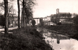 Chaillé Les Marais : Le Canal, à L'arrière Plan, L'église (cpsm) - Chaille Les Marais