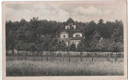 AK Gohrisch Haidehof Ca 1920 (Al03) - Gohrisch