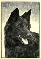 Chien * CPA Illustrateur C.R. * Race Type Dog - Dogs