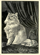 Chat * CPA Illustrateur C.R. * Race Type Cat Katze - Katzen