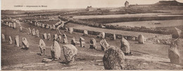 Delcampe - 2 Carte Double Alignements Du Ménec  Et  Du Kermario   (56)   Collection Le Rouzic - Dolmen & Menhire