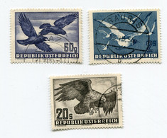 Delcampe - AUTRICHE PA 54 OBLITERE CORBEAUX FREUX + PA 56 OBLITERE MOUETTES RIEUSES + PA 60 OBLITERE AIGLE ROYAL - Autres & Non Classés