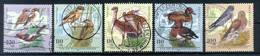 1998 REP. FED. TED. SET USATO Uccelli Birds Owl (Germania - Deutschland) - Sperlingsvögel & Singvögel